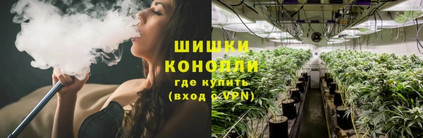 2c-b Рославль