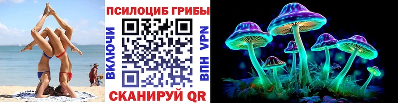 как найти закладки  Дубовка  Псилоцибиновые грибы мицелий 